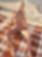 sex inzerce liberec