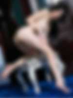 gay escort zlin