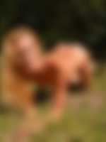 griffin sex