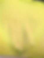 tantric sex video