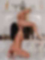 sex mit tieren