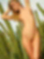 sex tukif