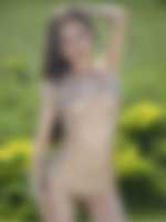 sex aute