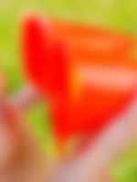 chces sex