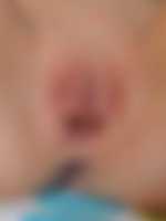 jezdim pouze escort