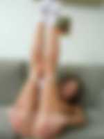 aninal sex