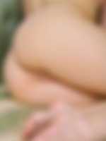 sex n 1