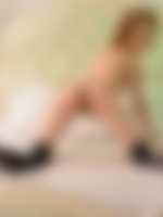 sex mit tieren
