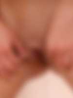 giraffe sex