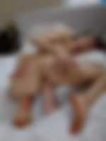 sex s delfinem