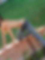 escort asiatky praha