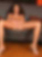 the joy of sex