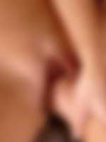 ani blackfox escort