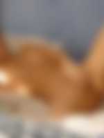 nikol escort praha