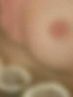sex studenti