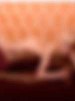 fotky sex